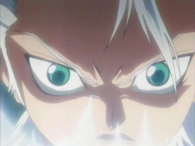 Otaku Gallery  / Anime e Manga / Bleach / Screen Shots / Episodi / 048 - Hitsugaya ruggisci / 028.jpg